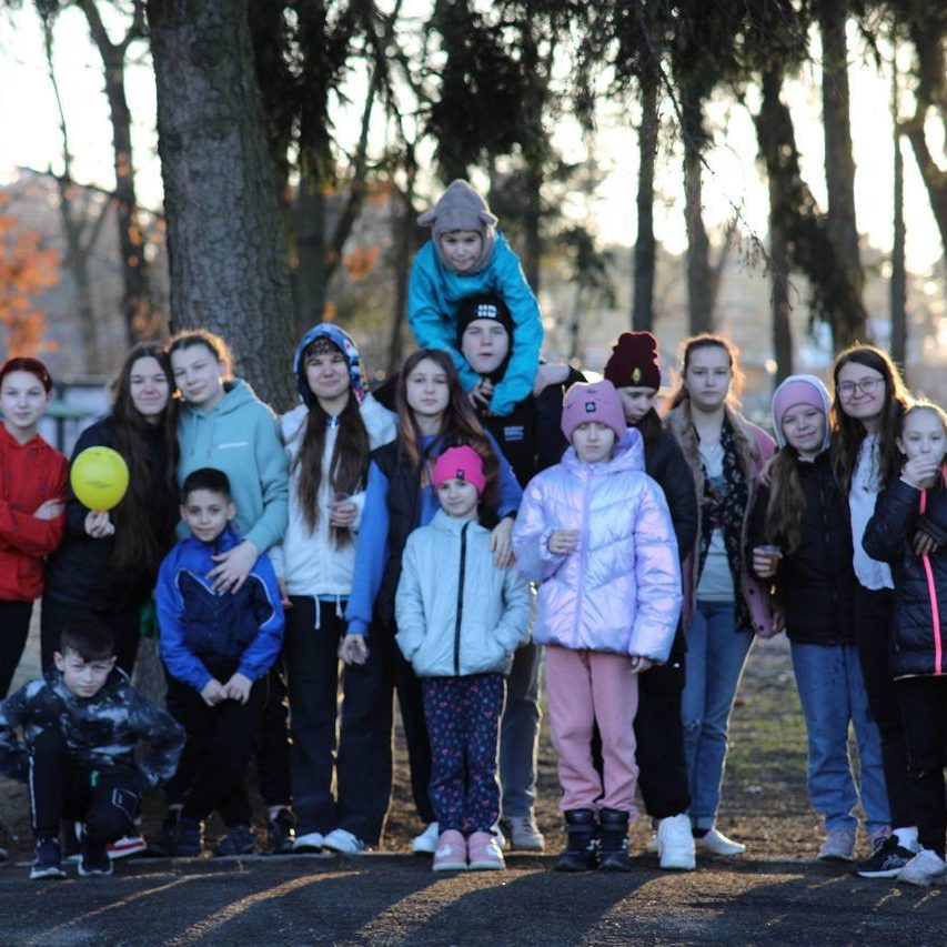 IDP Families